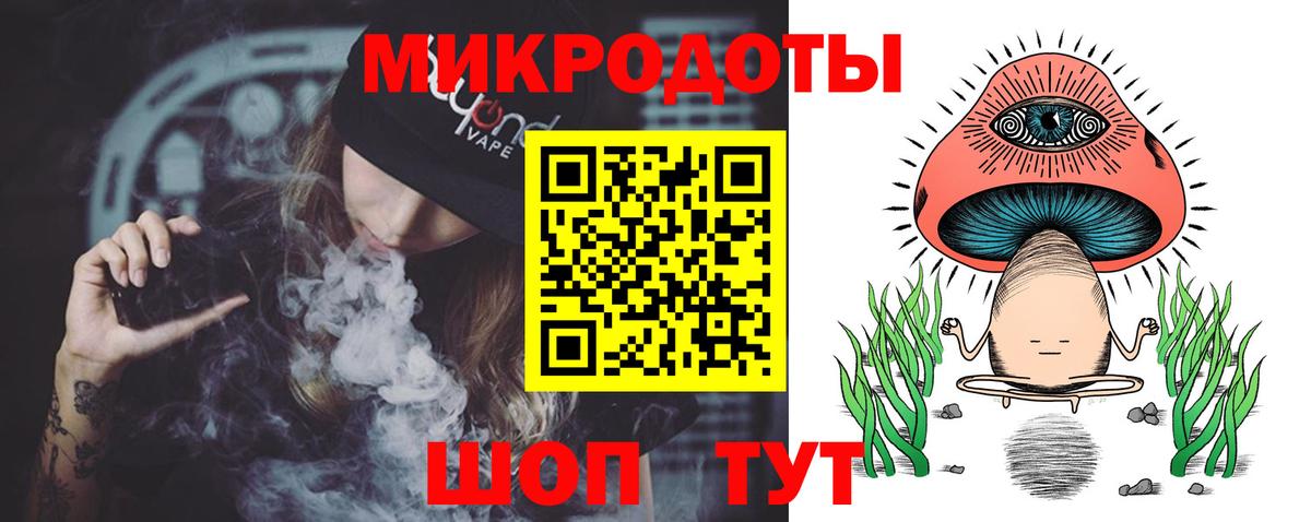 Галлюциногенные грибы Psilocybe Анжеро-Судженск