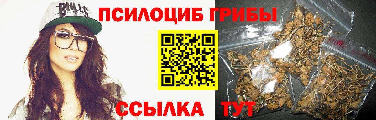 Галлюциногенные грибы прущие грибы  Вход с VPN  Анжеро-Судженск 